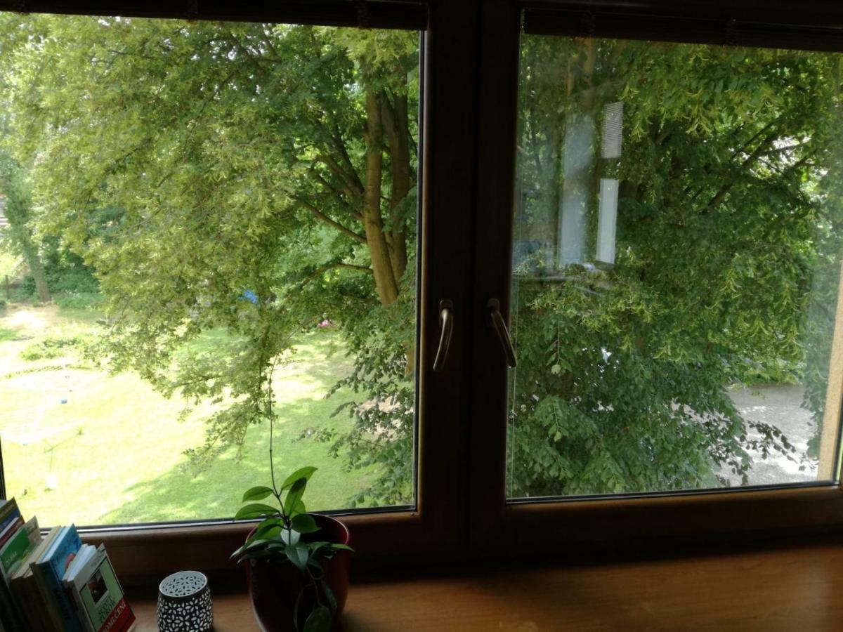 Apartman U Horynu - Sadova Ceska Trebova Bagian luar foto
